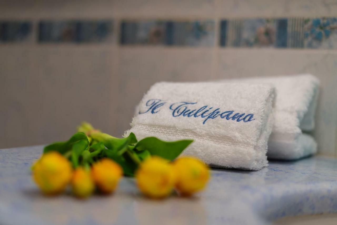 Il Tulipano - Appartamento Al Centro Di Vico Equense Ngoại thất bức ảnh